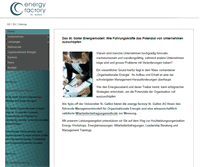 Tablet Screenshot of energyfactory.com